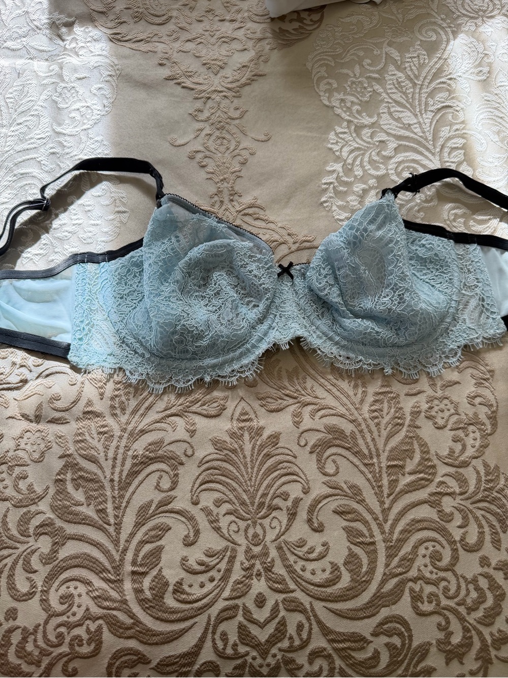 Victoria's Secret Pale Blue Lace Underwire Bra with Black Trim